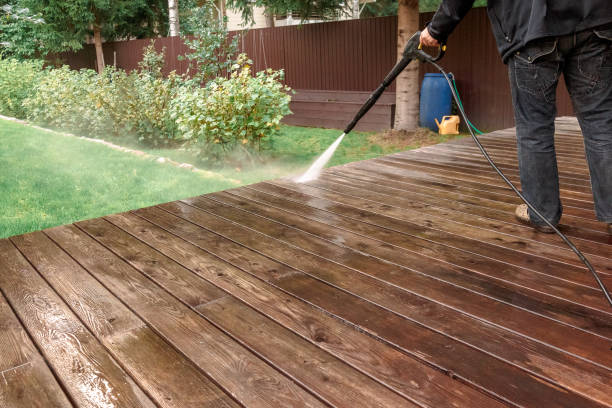 Best Sidewalk and Walkway Cleaning  in Clendenin, WV