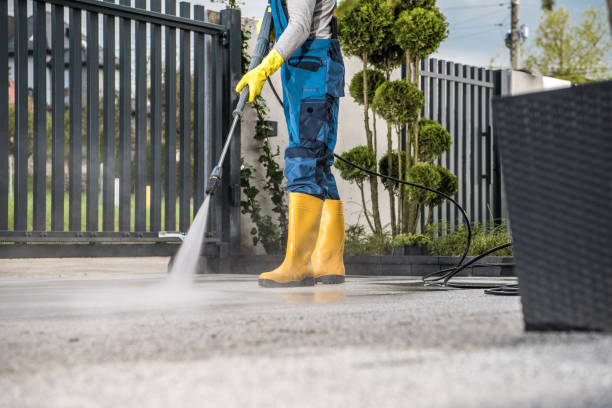 Best Fence Cleaning  in Clendenin, WV
