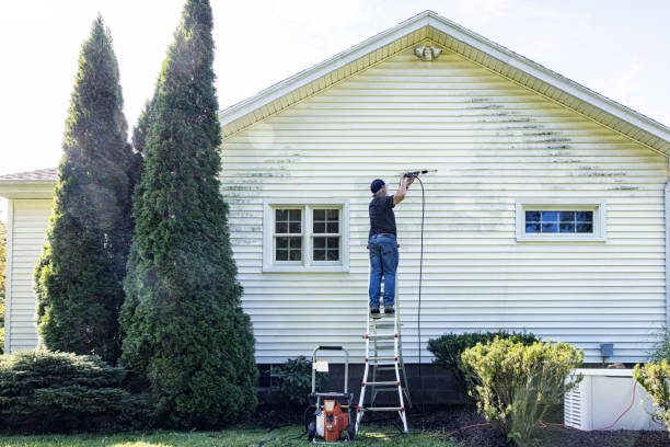 Best Graffiti Removal  in Clendenin, WV